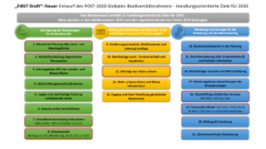 21 Action targets_CBD_First Draft Prozess-Graphik: Weg zum post-2020 GBF